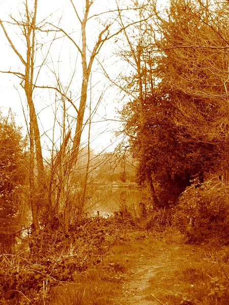 Hurst Woods April 2006