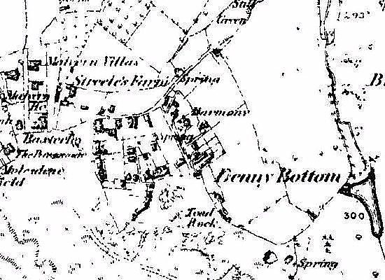 Denny Bottom map, 1878